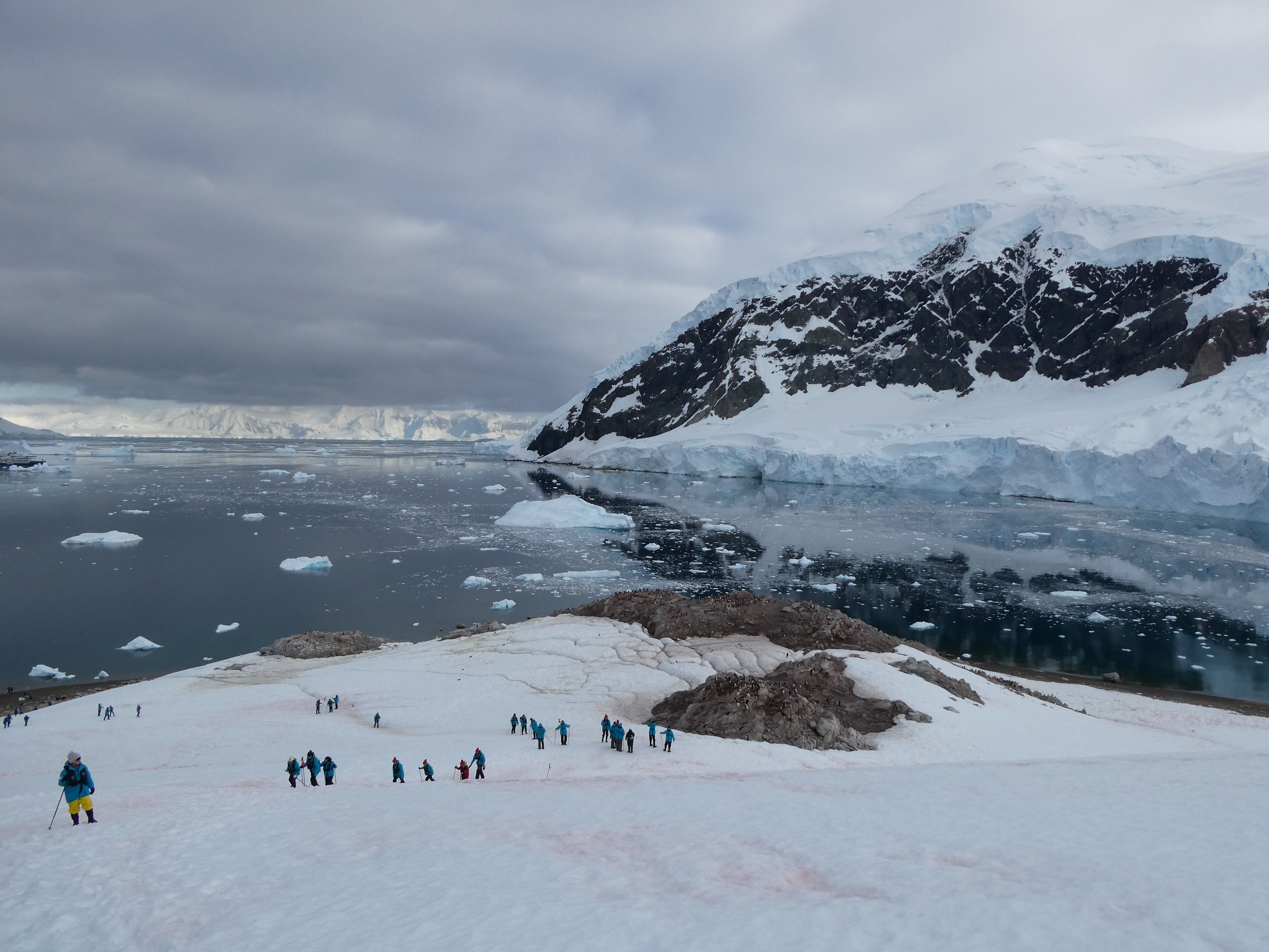 Expedition to Antarctica: Weddell Sea Cruise