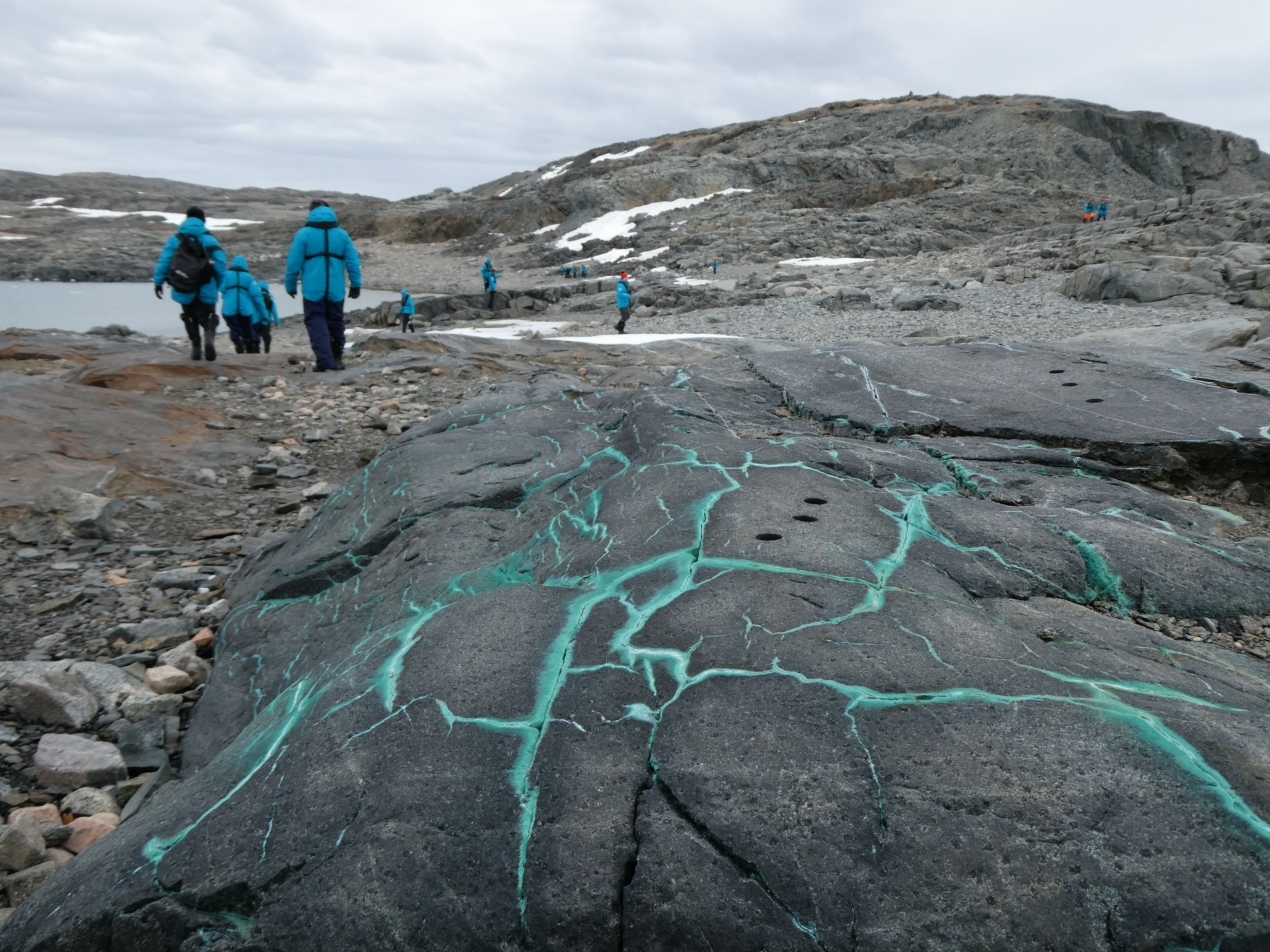 Cruise to the Antarctic Circle