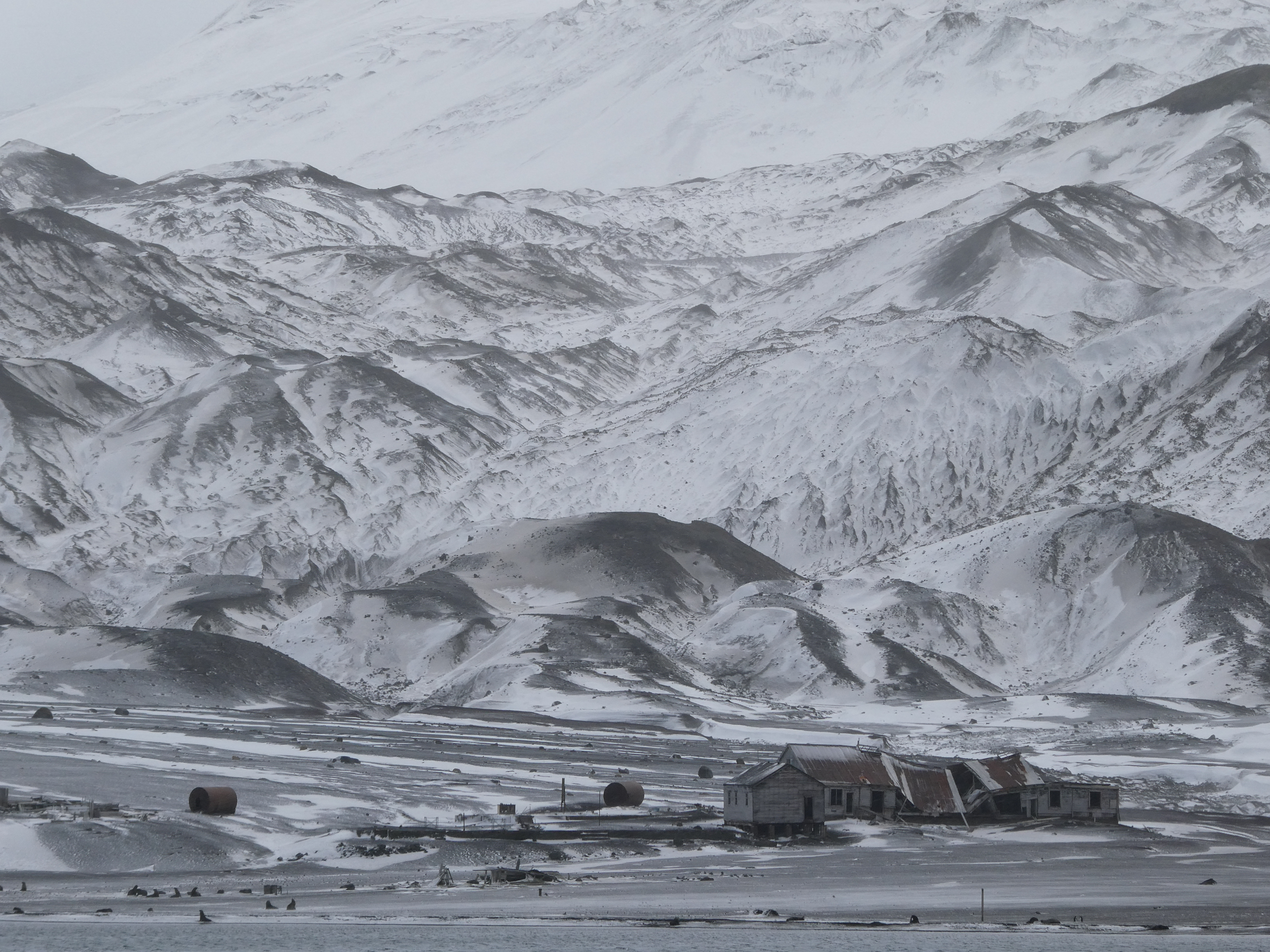 Expedition to Antarctica: Weddell Sea Cruise