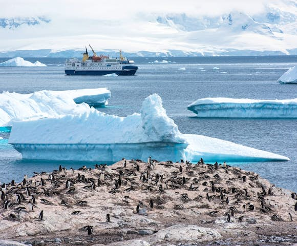 Penguins and Ocean Nova, Antarctic Vessel in Antarctica