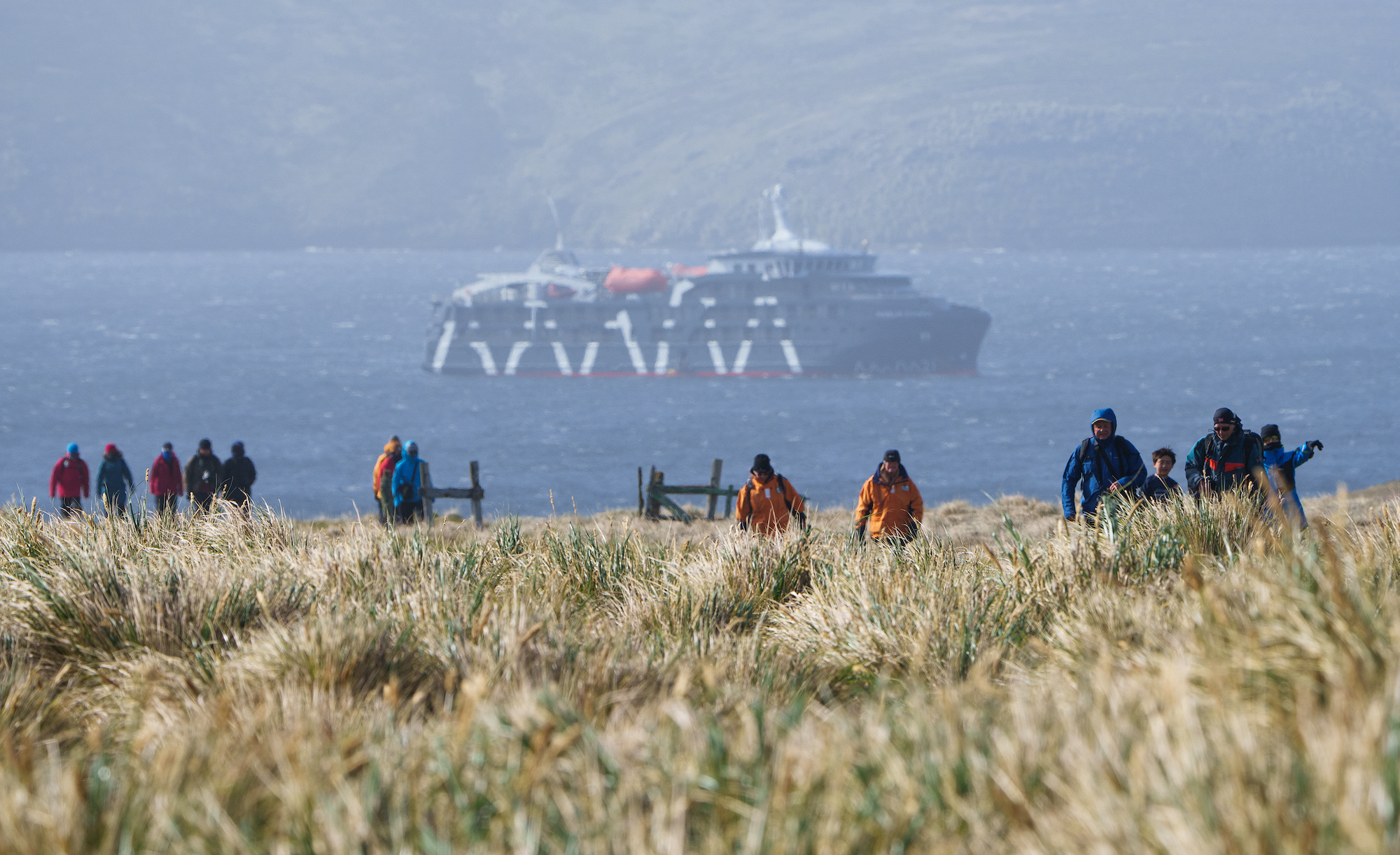 Travellers hike in tussac grass with a ship in the distance