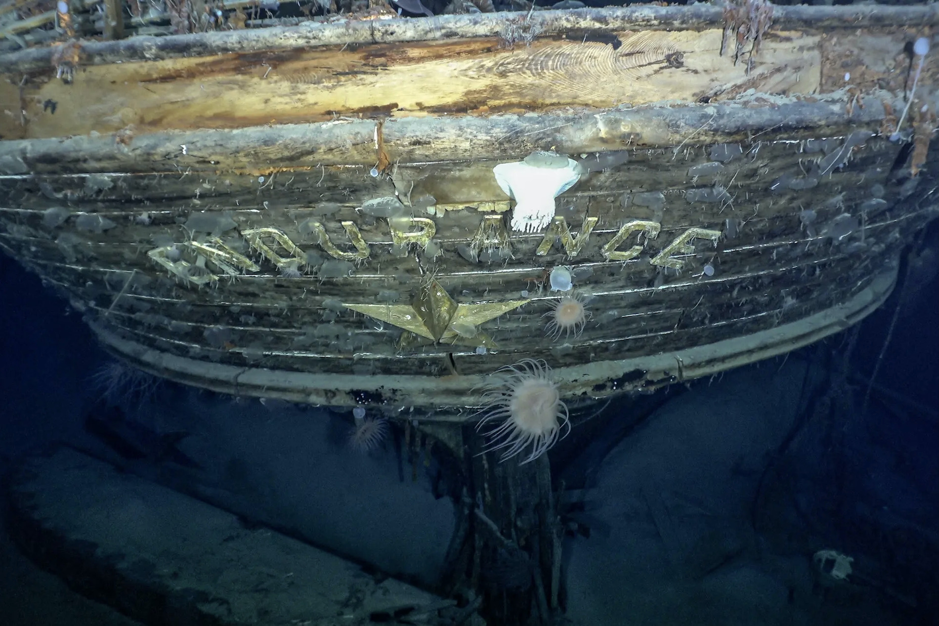 Wreck of Shackleton's ship Endurance beneath the Weddell Sea