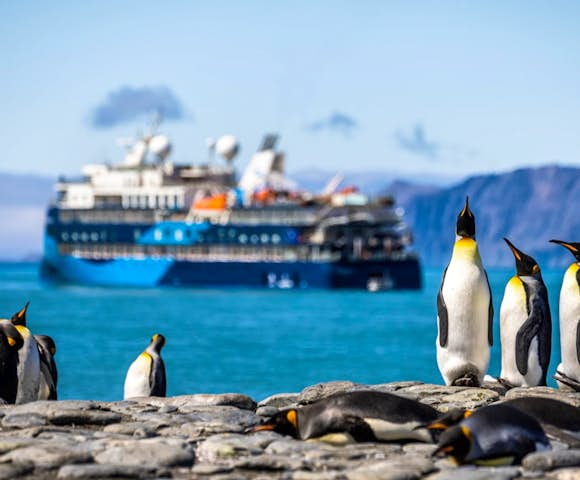 Ocean Victory and king penguins, Antarctic vessel, Antarctica