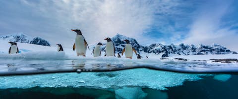Encounter the Antarctic Circle