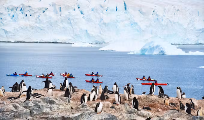 Classic Antarctica & South Shetlands