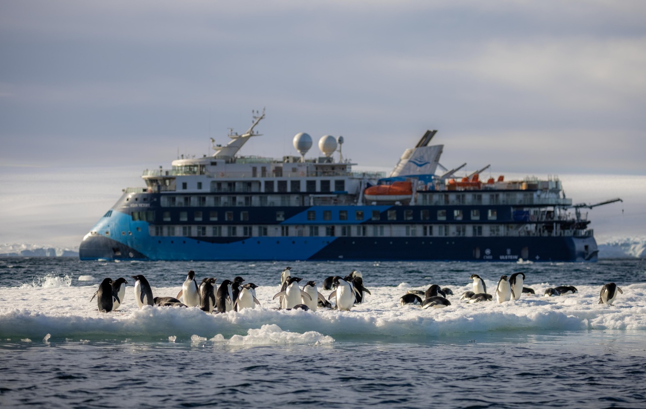 Group of Adelie penguins, Weddell Sea, Ocean Victory, Antarctic vessel, Antarctica