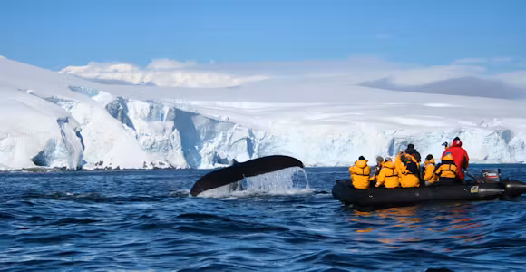 Viewing humpback whales off the Melchior Islands, Antarctica