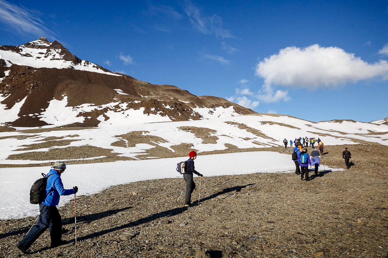 Quest for Shackleton: South Georgia and Antarctica