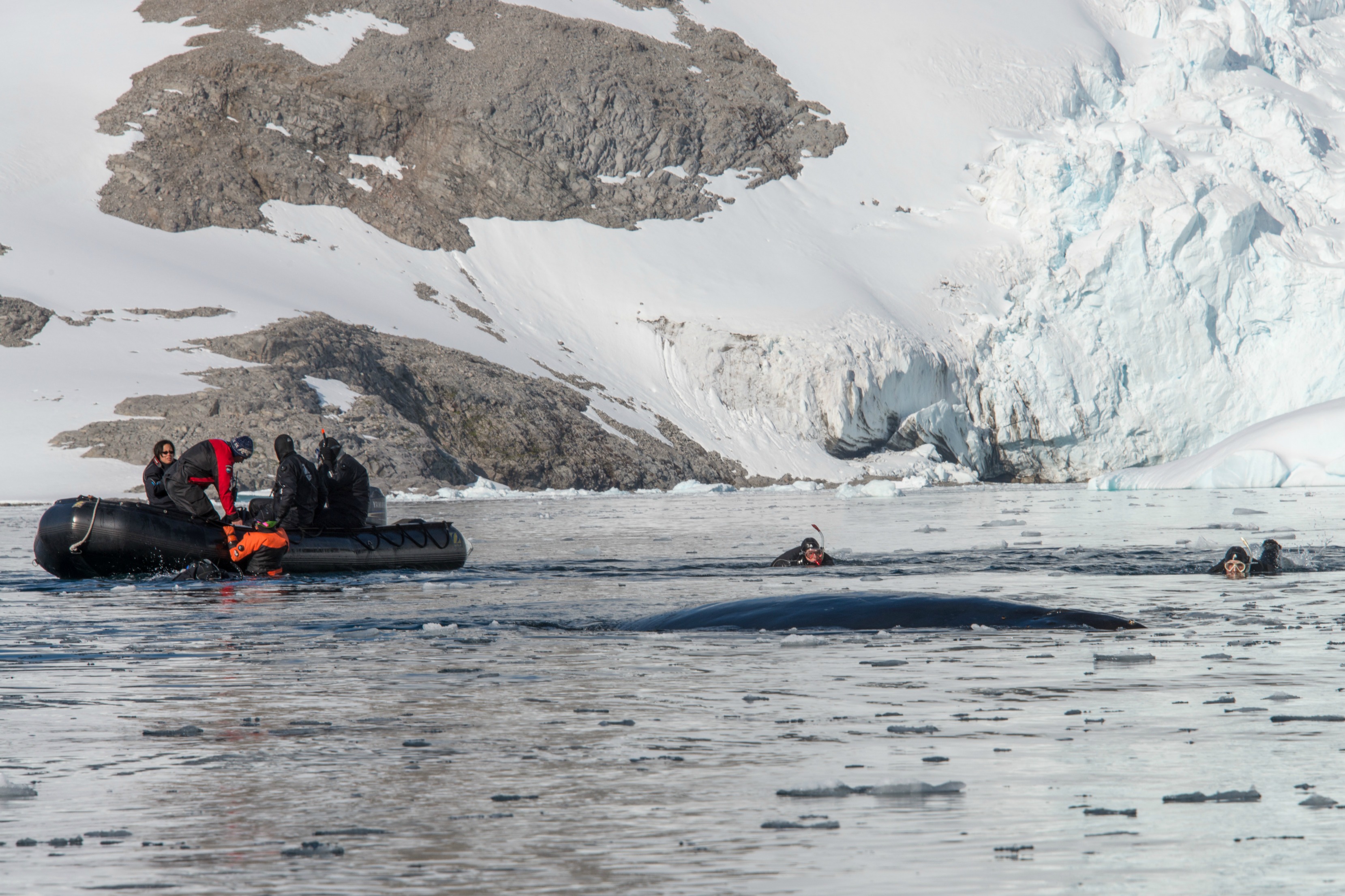 Scuba diving in Antarctica