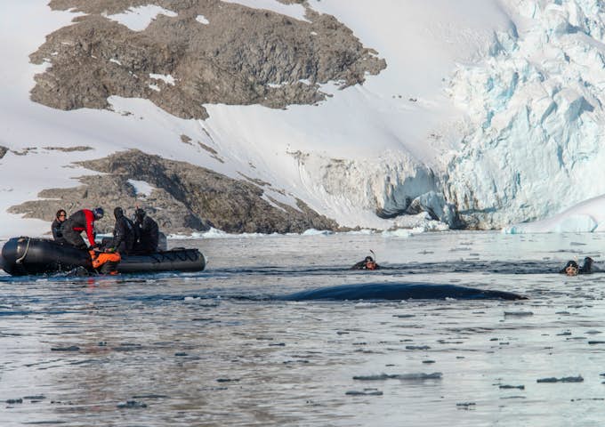 Scuba diving in Antarctica