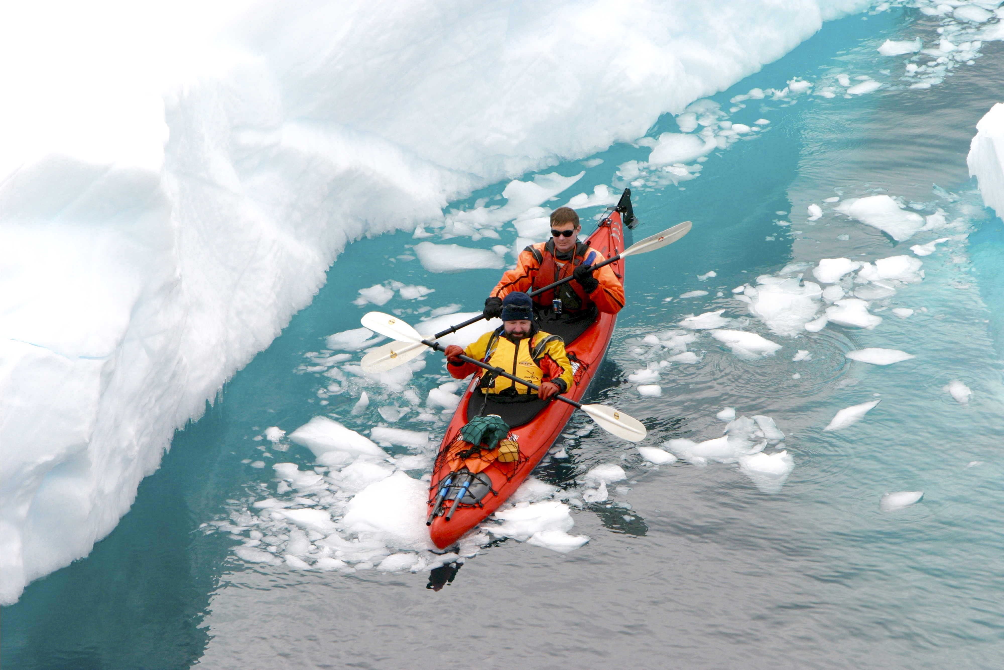 Immense Discovery: Falklands, South Georgia & the Peninsula