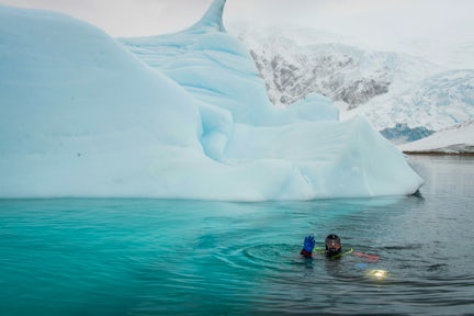 Snorkelling in Antarctica