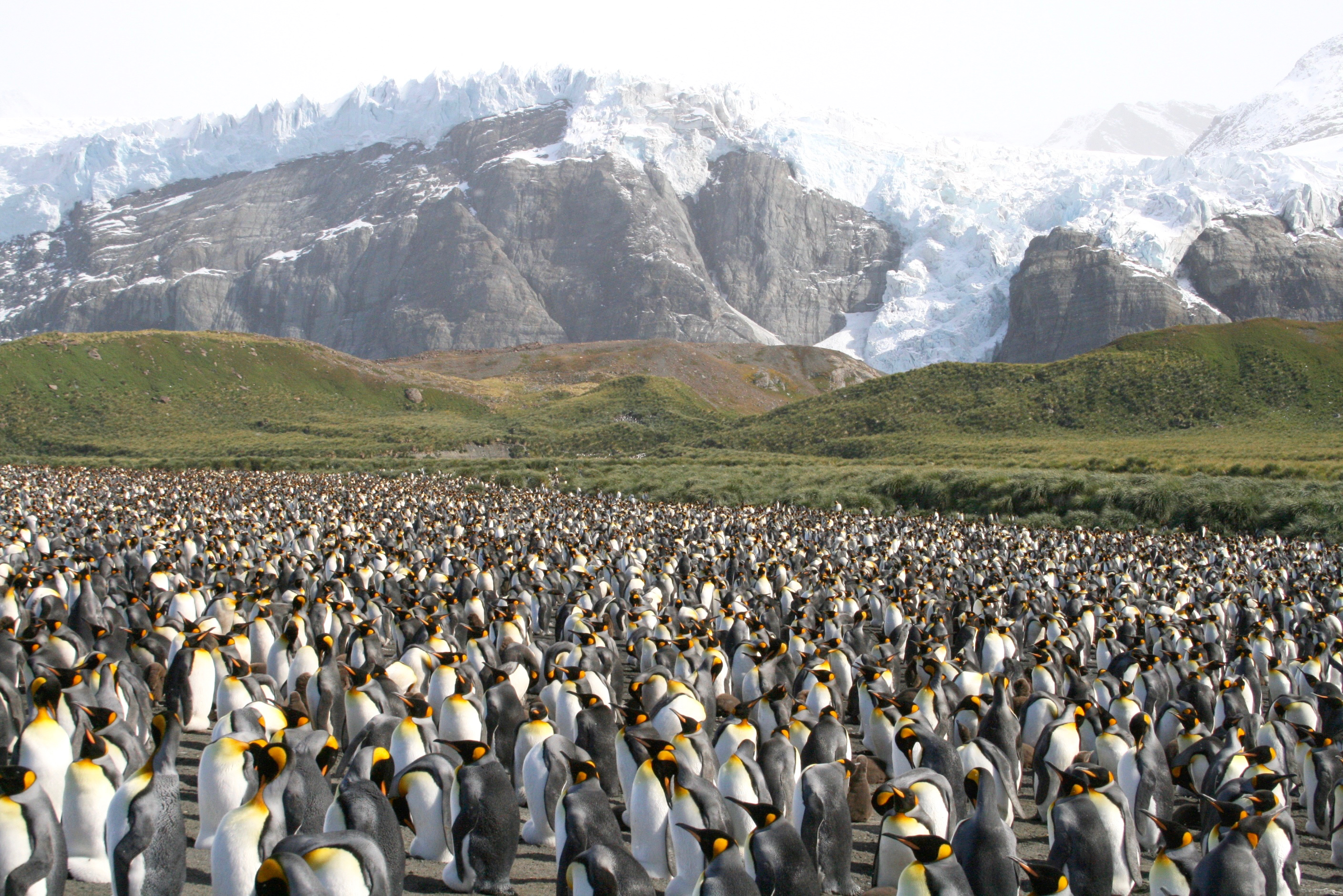 Solar Eclipse in Antarctica