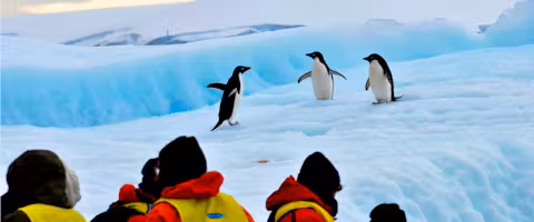 Crossing the Antarctic Circle Fly & Cruise