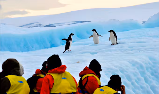 Crossing the Antarctic Circle Fly & Cruise
