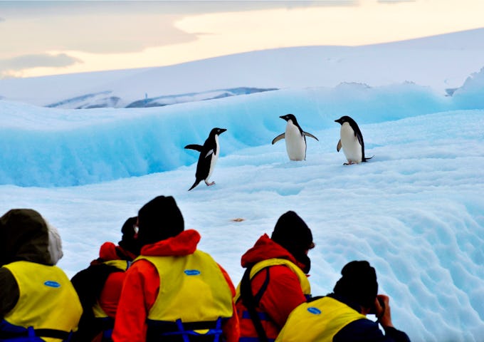 Crossing the Antarctic Circle Fly & Cruise