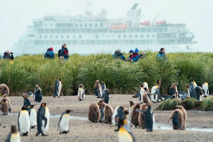 Fortuna Bay with king penguins, tourists and Sylvia Earle cruise ship