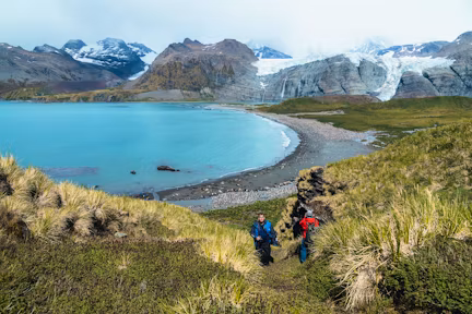 A wide view of Gold Harbour in South Georgia. A wide bay with a beach dotted with king penguins and fur seals, and a huge glacier covering the mountains