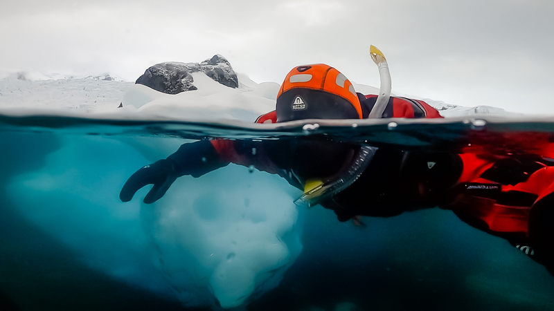Snorkelling in Antarctica