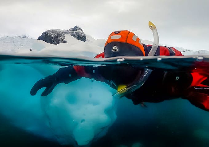 Snorkelling in Antarctica