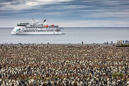 The expedition cruise ship Greg Mortimer is seen moored off St Andrews Bay on South Georgia island, with a large number of king penguins in the foreground