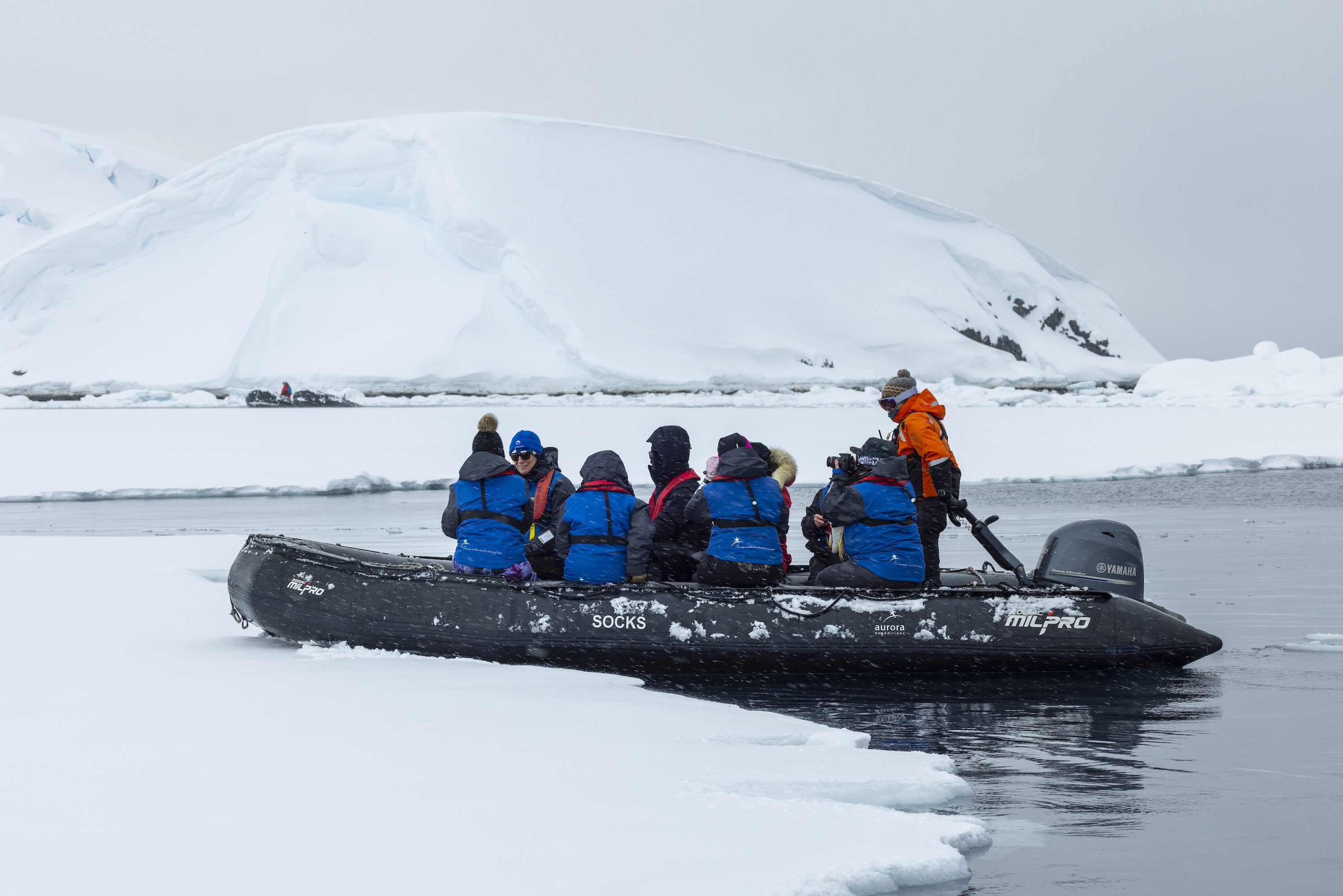 A zodiac boat lands on the shore of Antarctica 