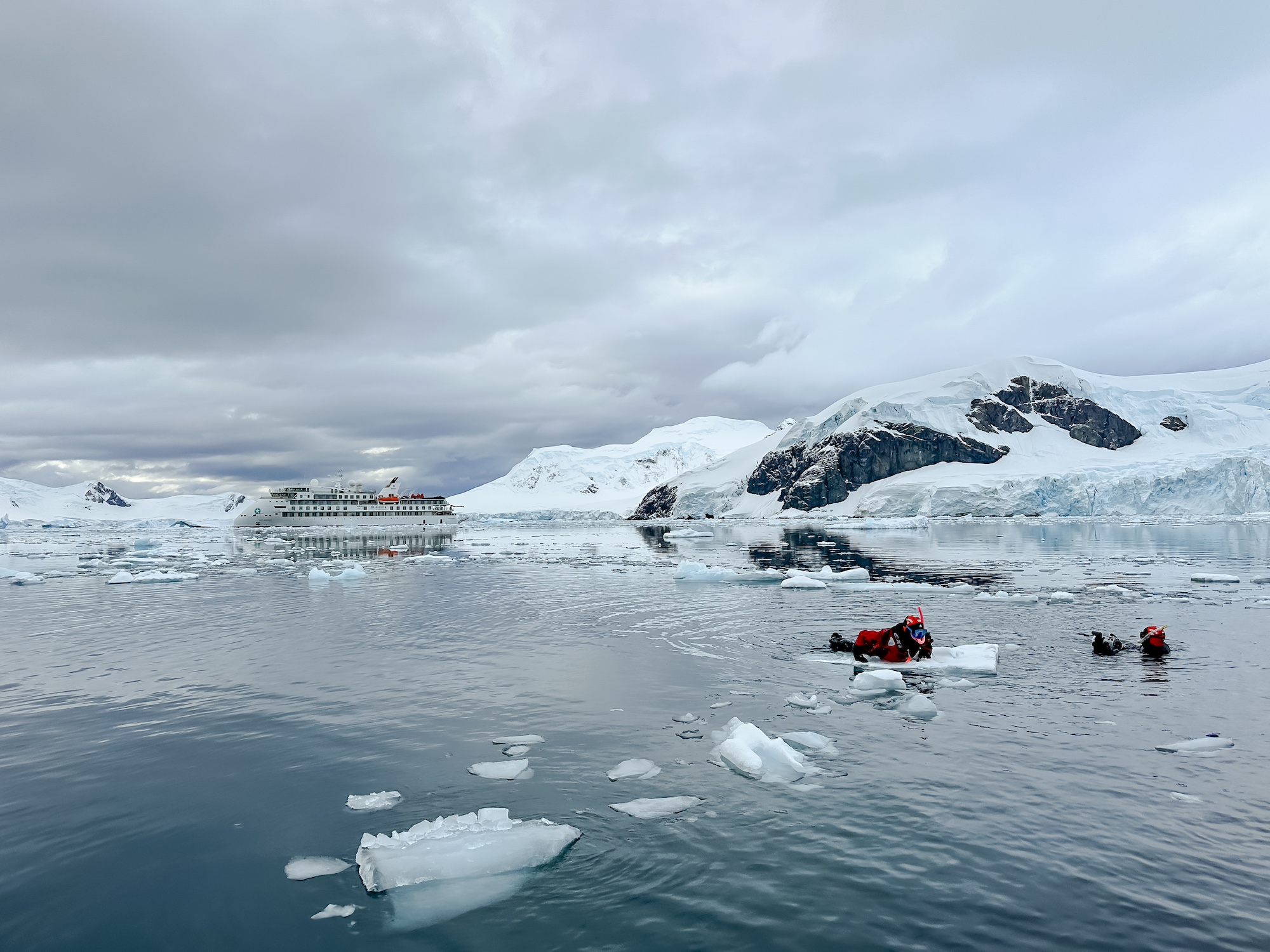 Snorkelling in Paradise Harbour, Antarctica
