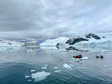 Snorkelling in Paradise Harbour, Antarctica