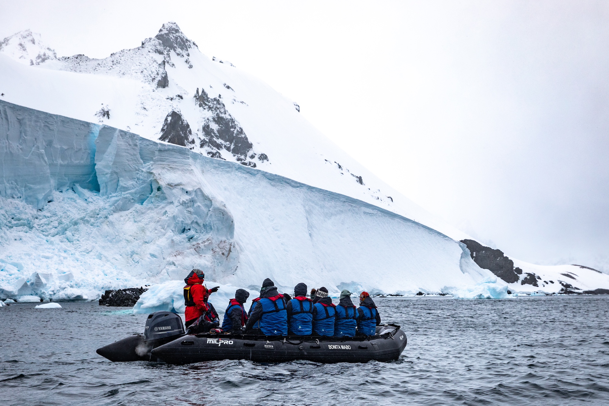 Untamed Weddell Sea Adventure