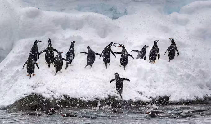 Express Antarctica