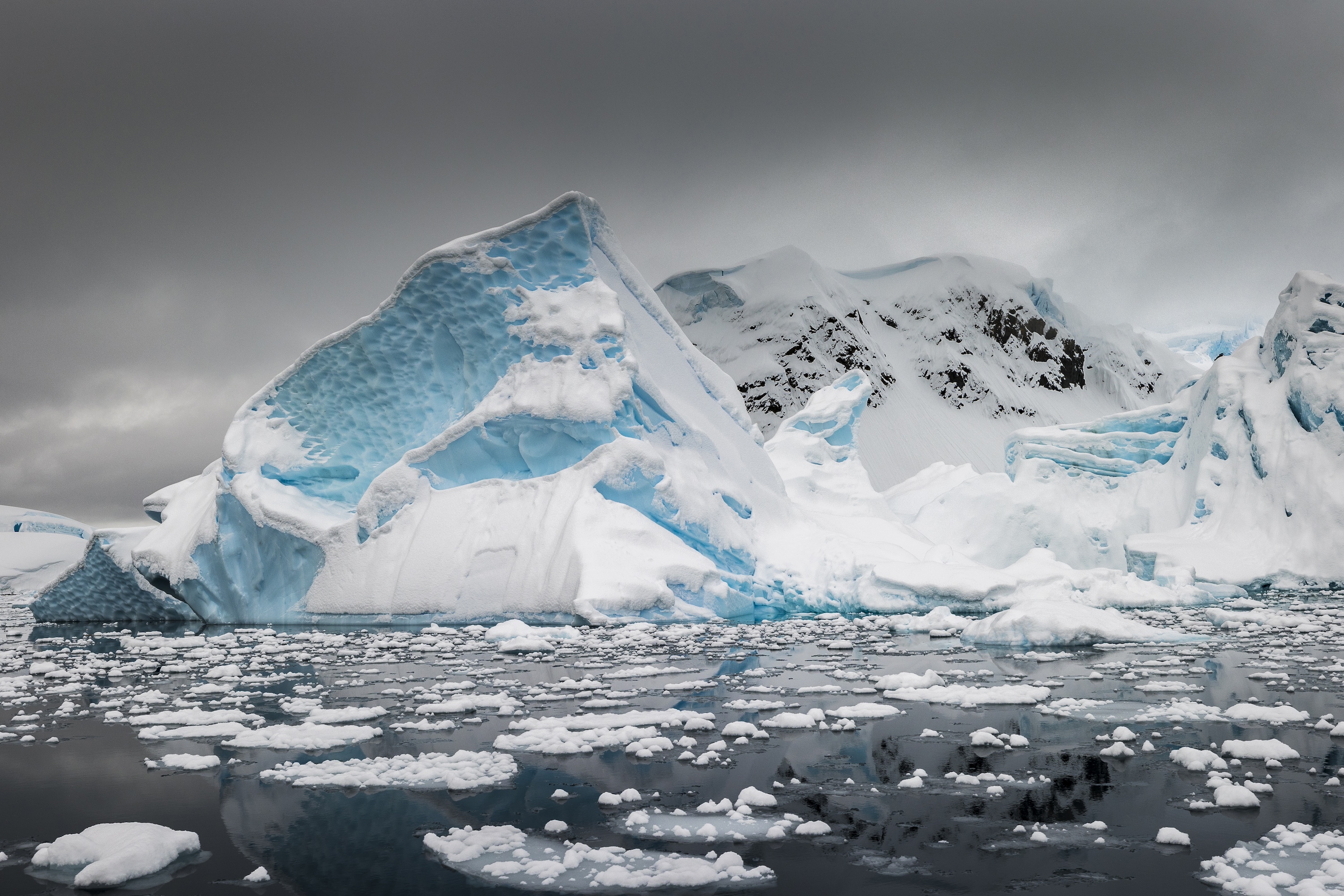 An iceberg covered in fresh snow sits in a glassy bay in Antarctica 