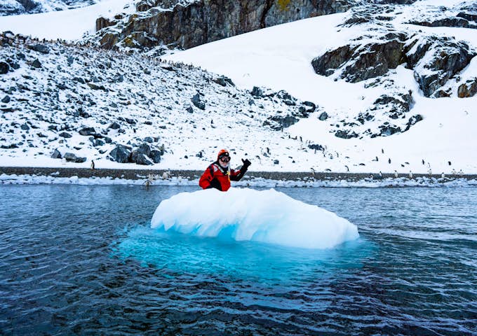 Snorkeller and gentoo penguins above the water in Antarctica