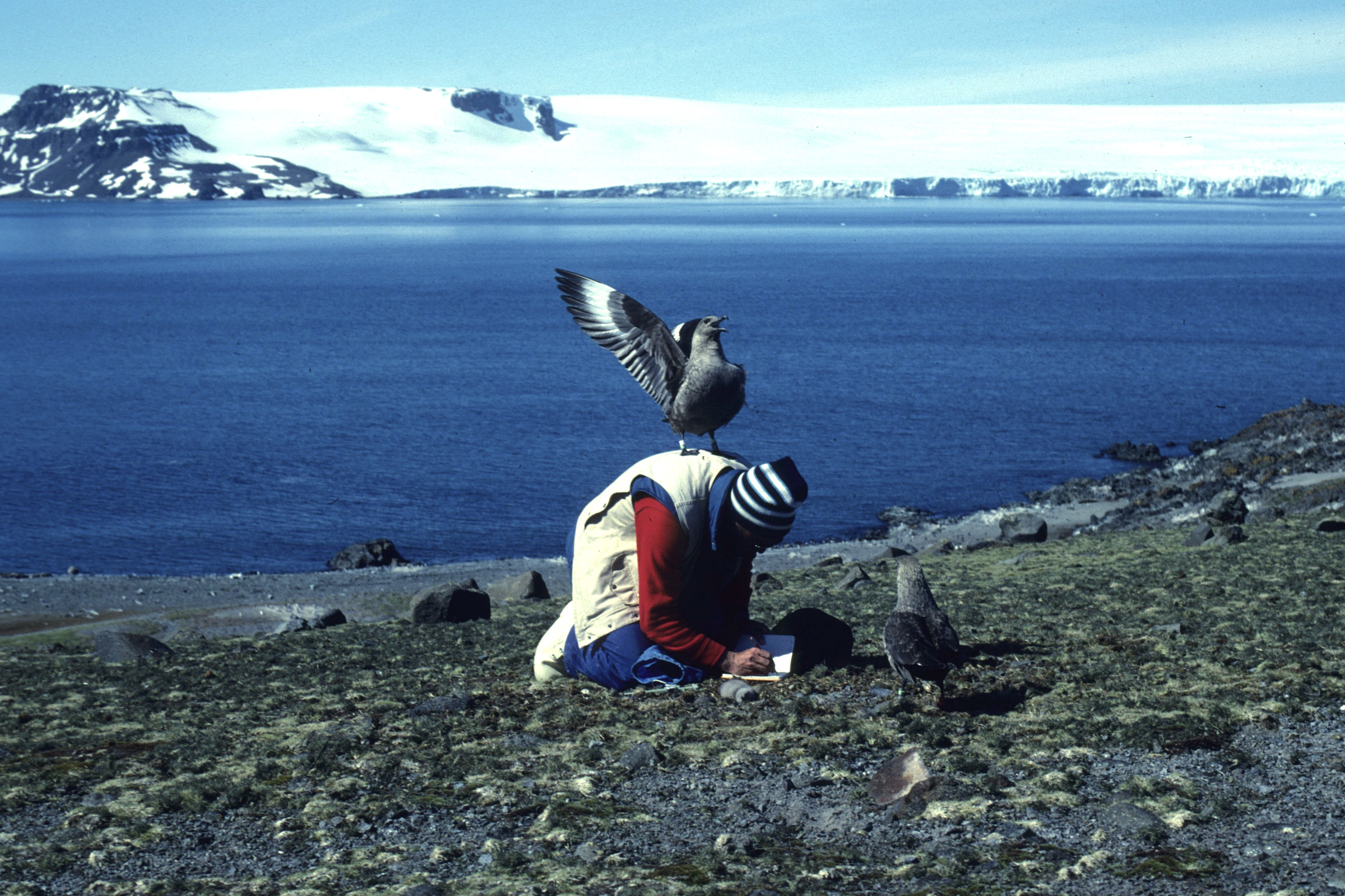 Antarctic Peninsula History