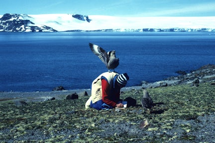 Antarctic Peninsula History