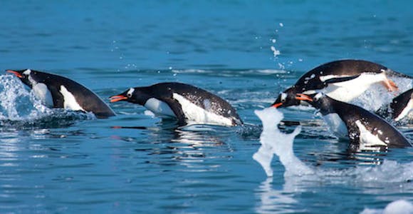 Photography in Antarctica