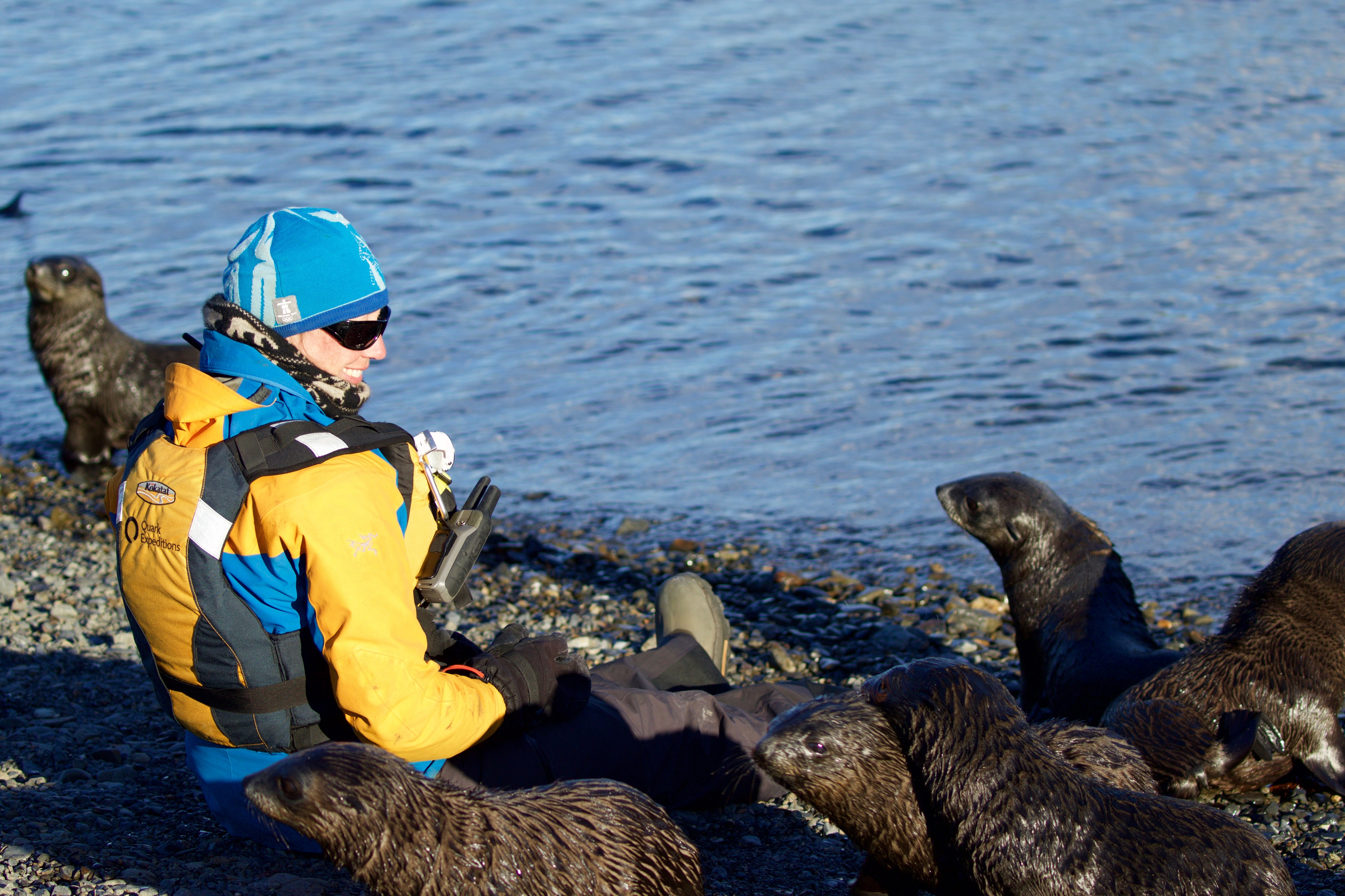 OLD SOUTH GEORGIA WILDLIFE PAGE DO NOT USE