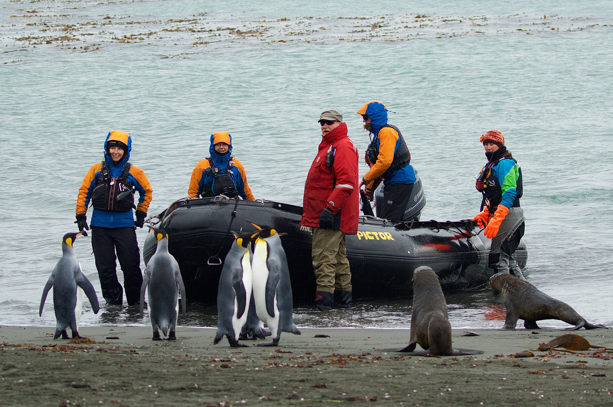How to get to South Georgia