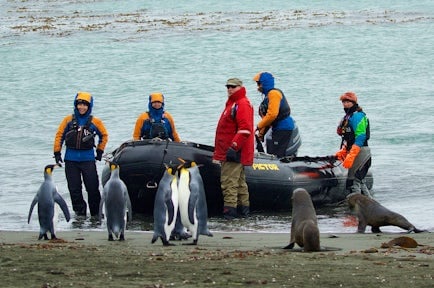 Fly To Antarctica & Cruise Back