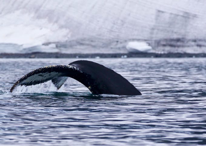 Antarctica in March