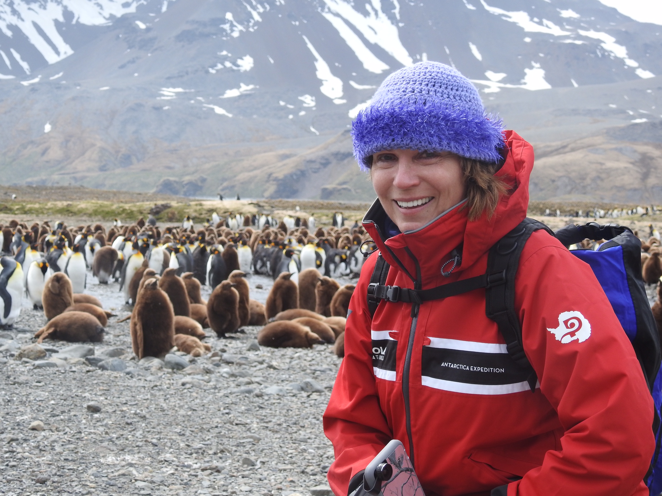 South Georgia, Antarctica and Falklands Explorer