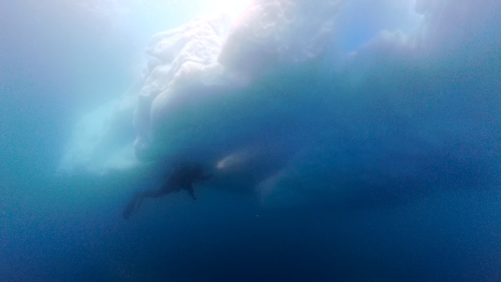 A scuba diver explores beside an iceberg underwater in Antarctica