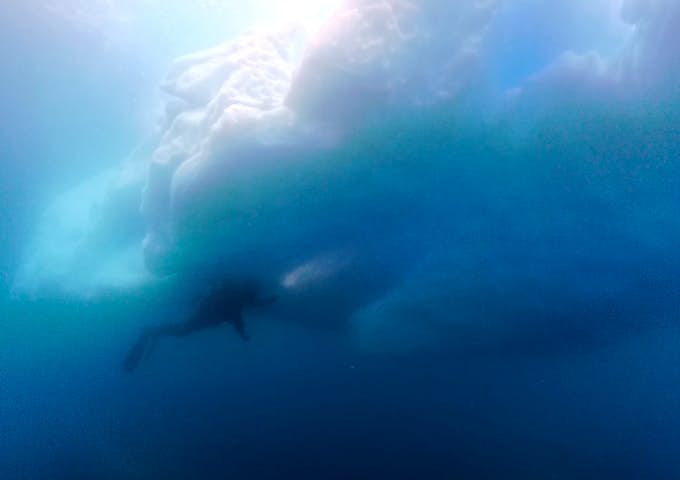 A scuba diver explores beside an iceberg underwater in Antarctica