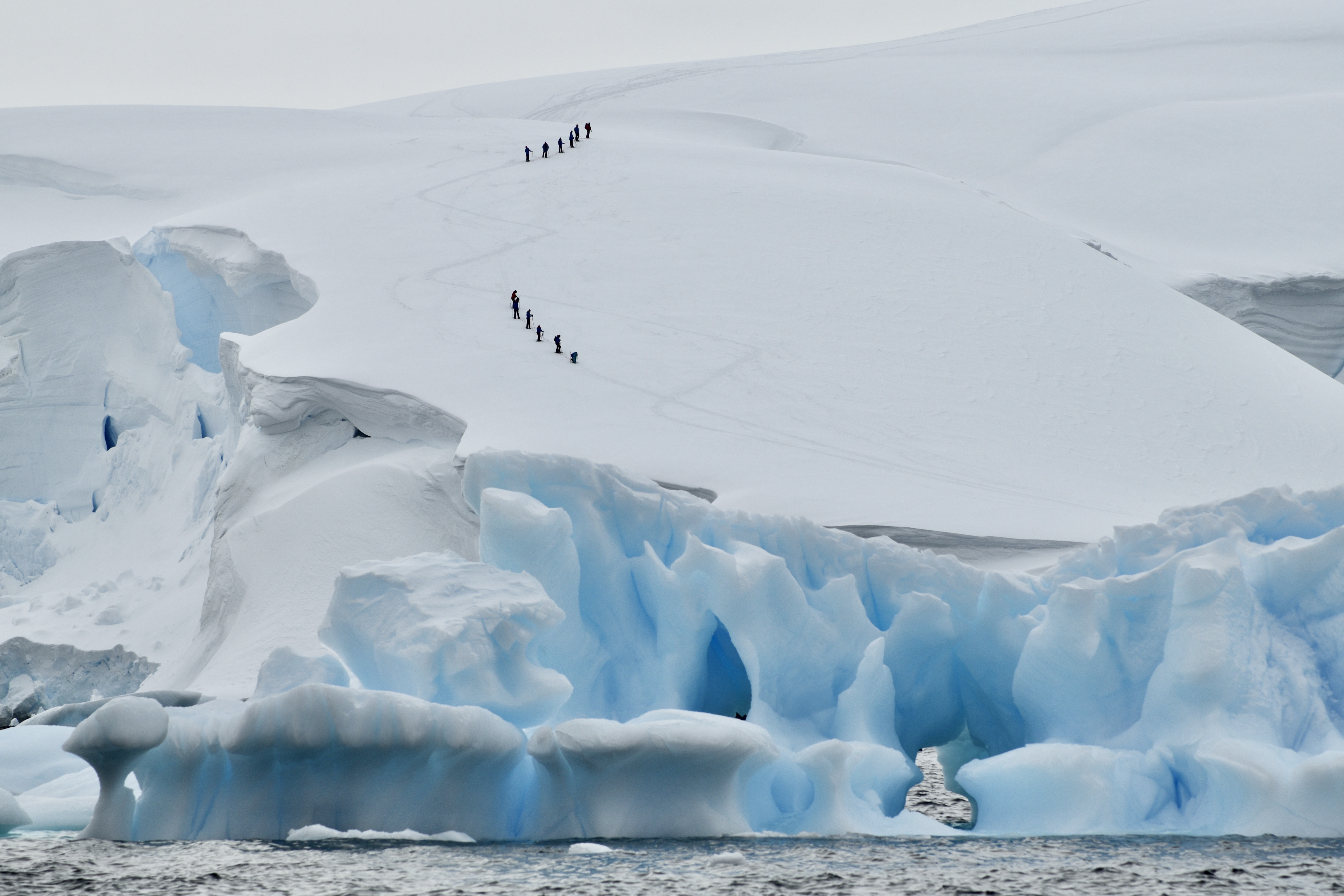 Two groups of snowshoers hiking up a hill on Enterprise Bay