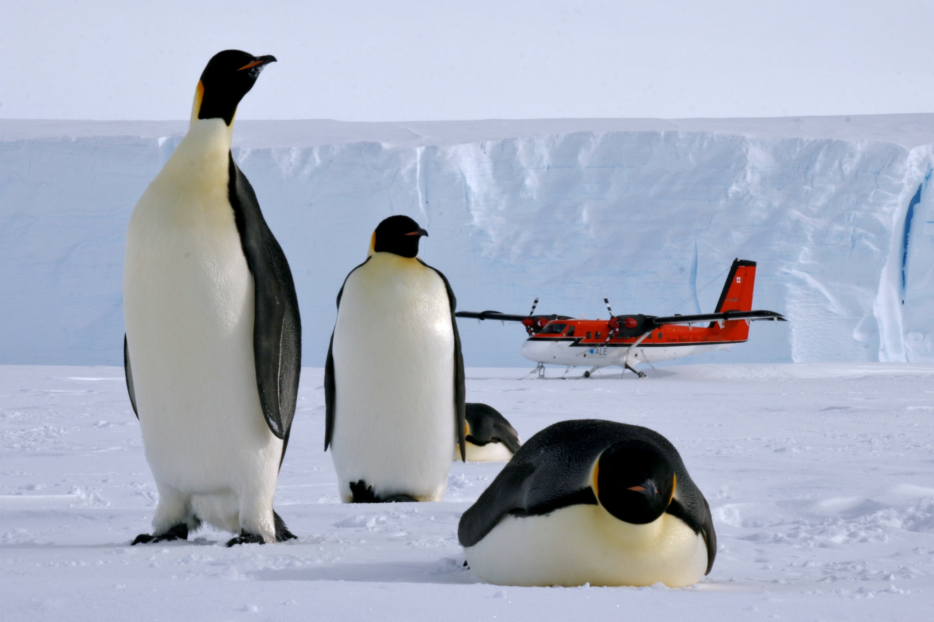 Fly from South America to Antarctica and Union Glacier