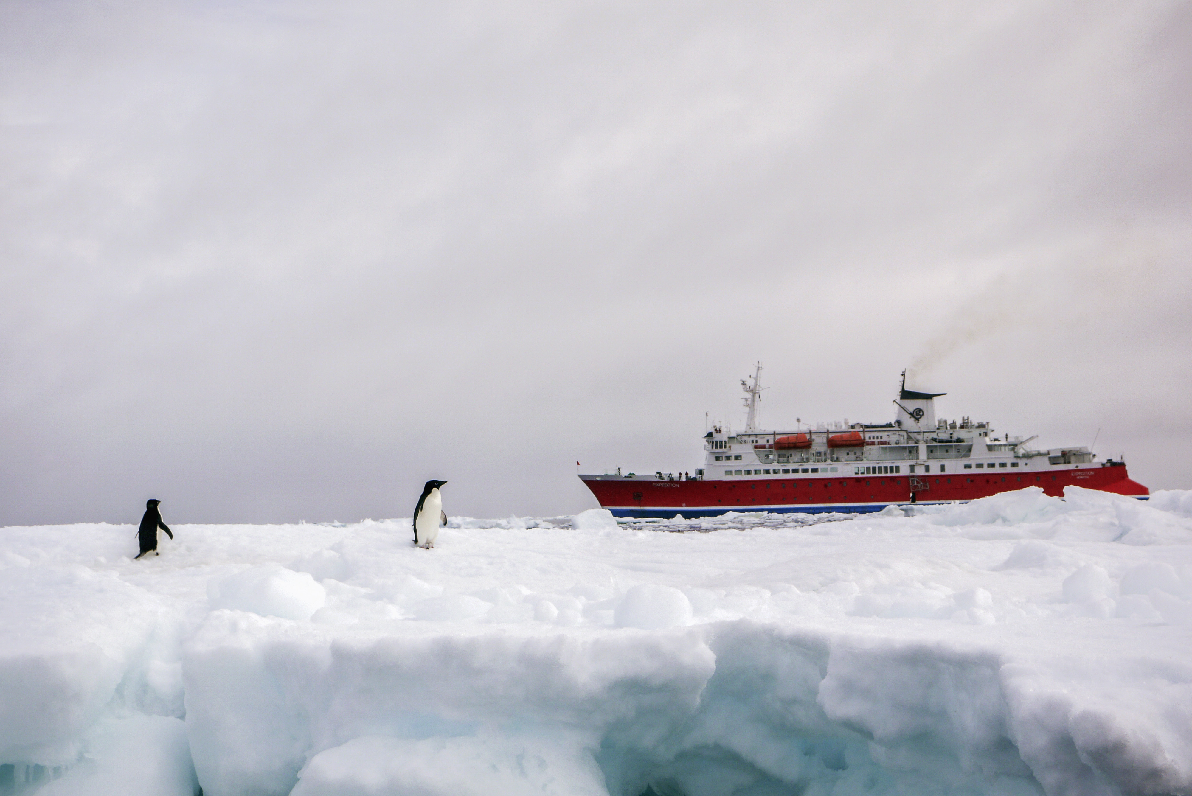 Quest for the Antarctic Circle