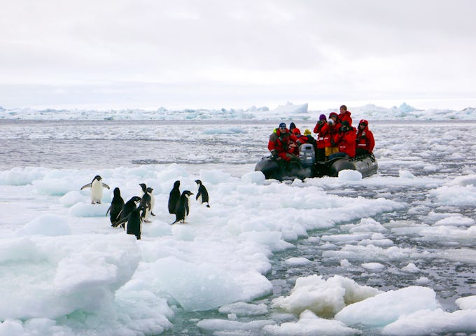 Zodiac excursion to see penguins, Antarctica