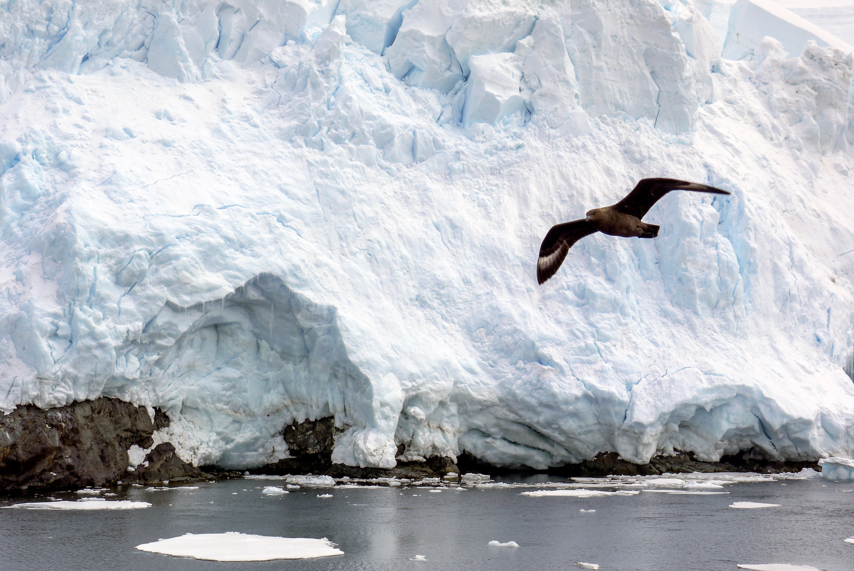 Antarctica Classic in Depth