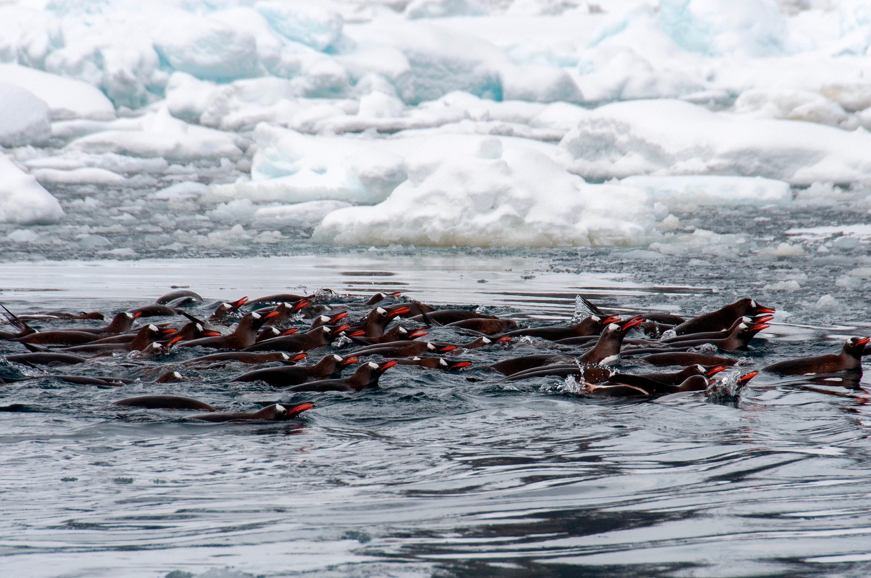 Classic Peninsula Voyage