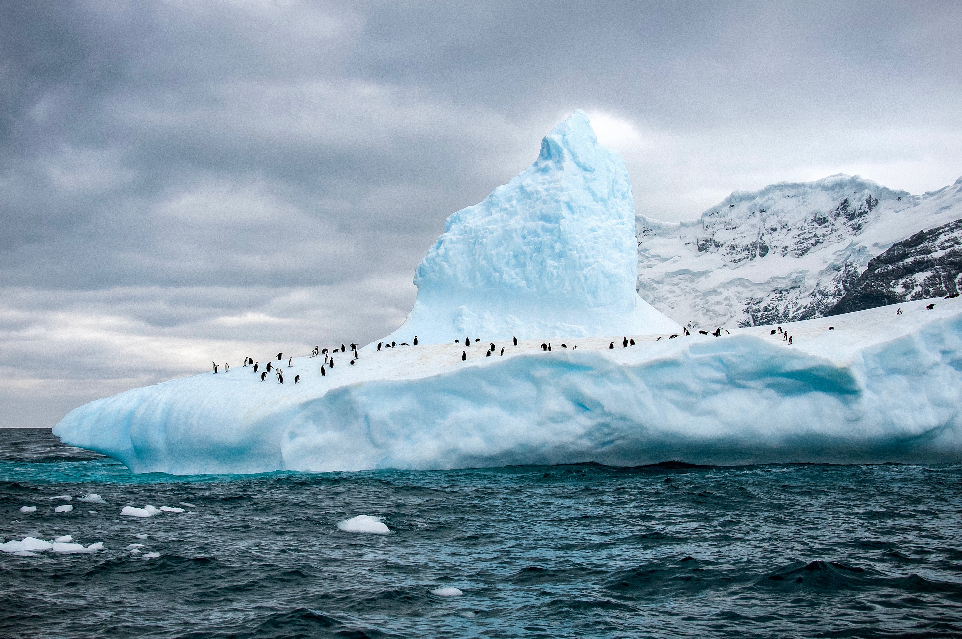 Classic Peninsula Voyage