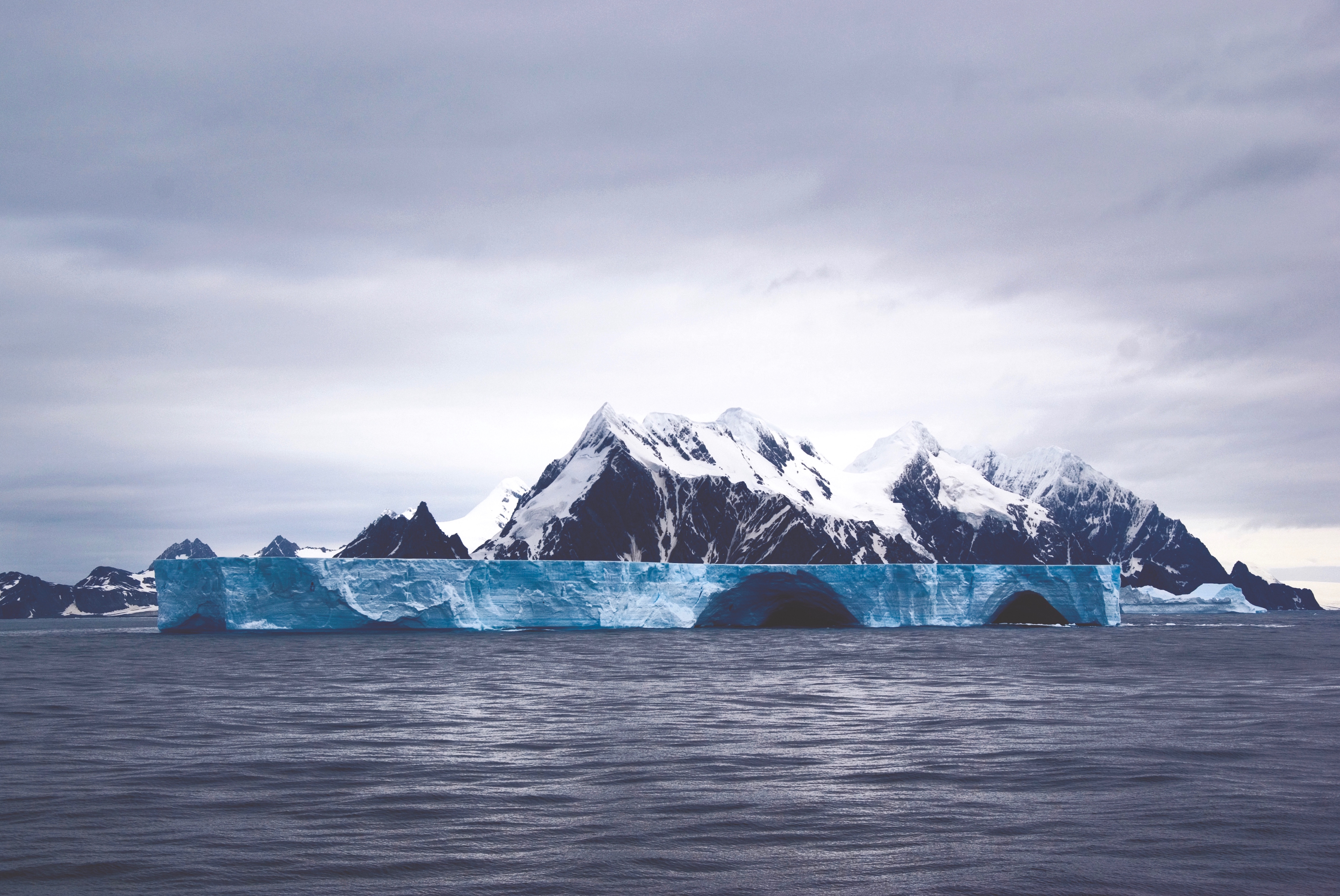 Springtime in South Georgia, Falklands and Antarctica